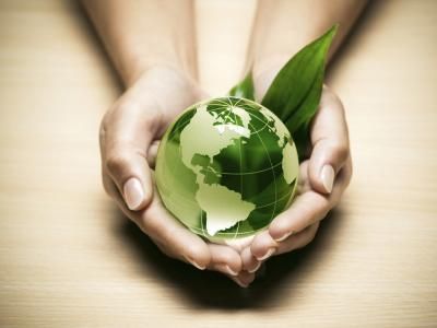 Top Socially Responsible Mutual Funds to Consider